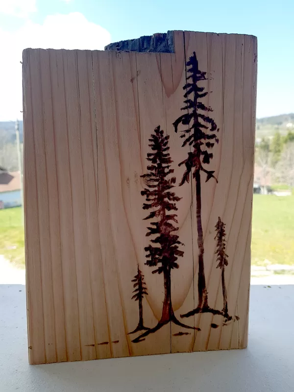 Personalistaion Nature